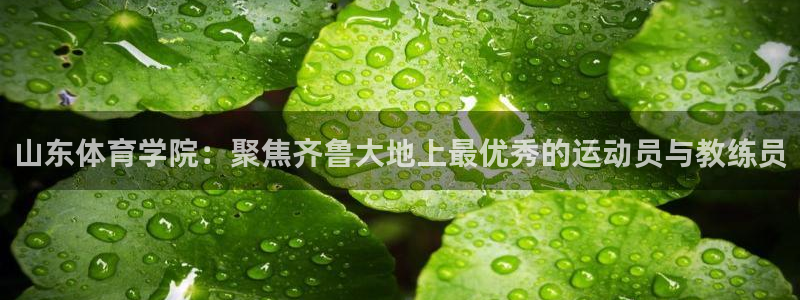 劲爆体育如何观看