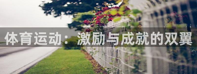 劲爆体育是哪个地方的：体育运动：激励与成就的双翼