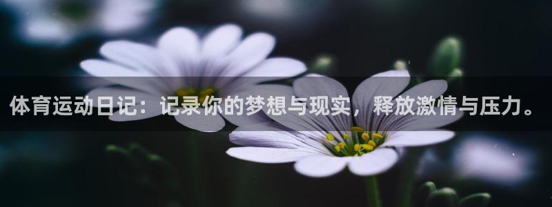 劲爆体育收费标准：体育运动日记：记录你的梦想与现实，释放激情与压力。