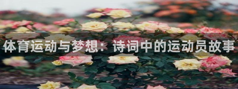 劲爆体育dota2线上比赛合集