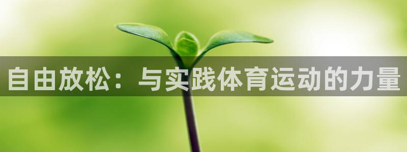 劲爆体育 百度百科